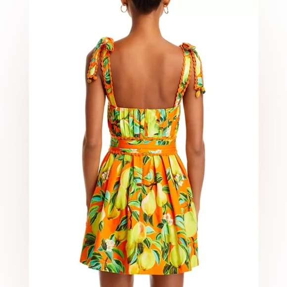 Farm Rio Tie Strap Fruit Print Mini Dress – Size XS NWT (No Belt) - Picture 10 of 10